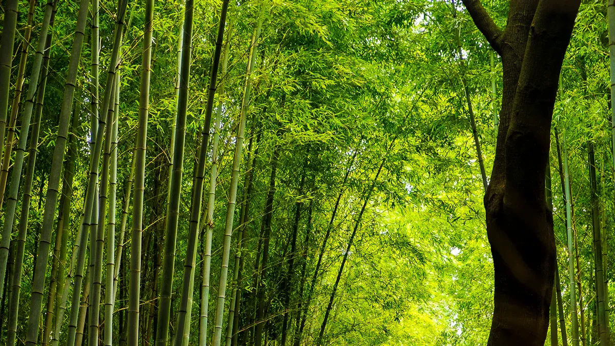 Key Measures of the Green and Low-Carbon Transition Promotion Regulation